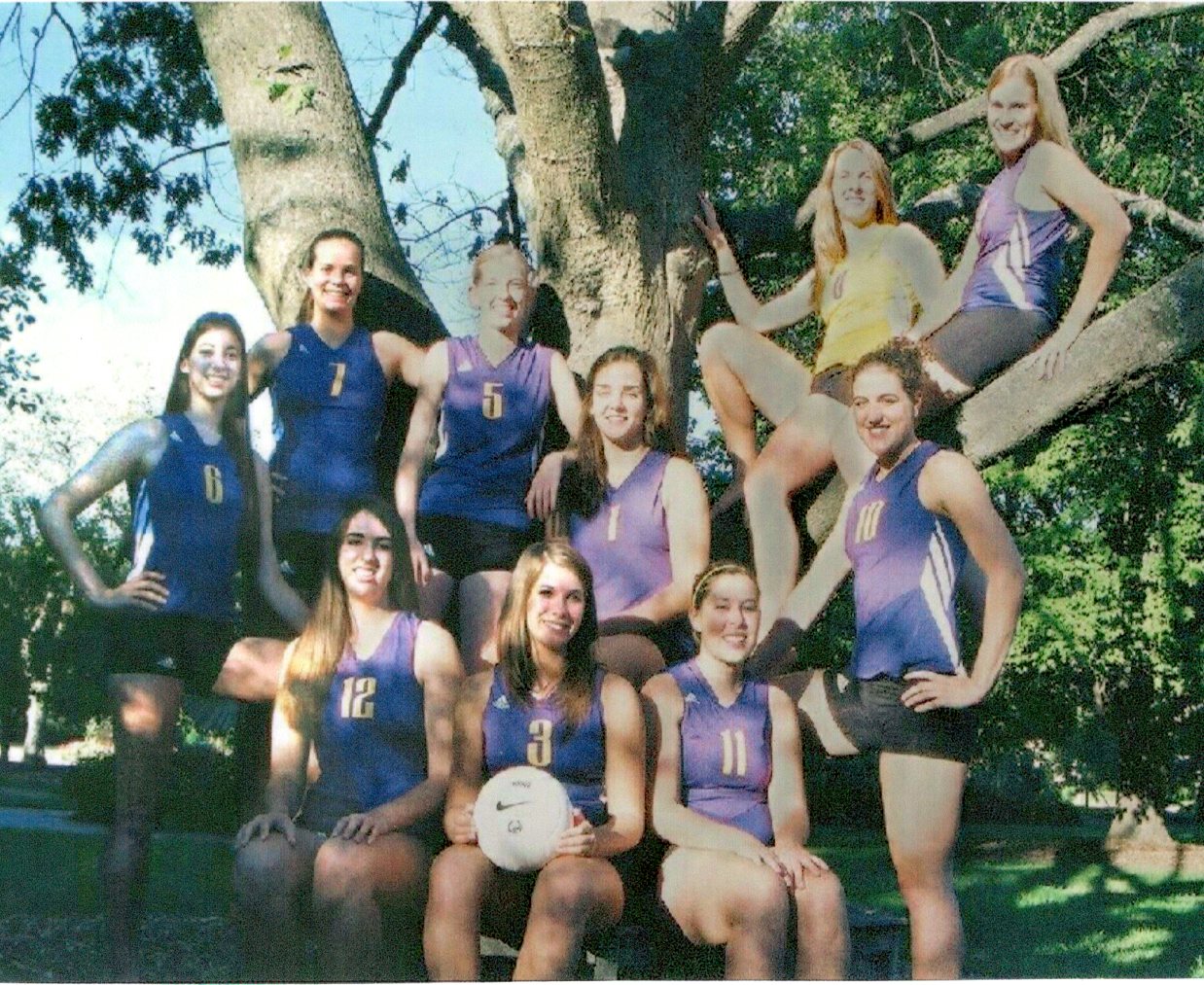 2005 w vball Team in tree
